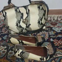 کیف وکفش ست