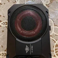 ساب اکتیو ریموت دار