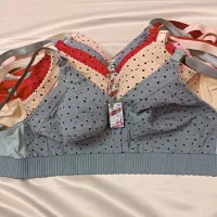 لباس زیر عمده|لباس|قم, محمد آباد|دیوار