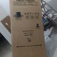 کارتن