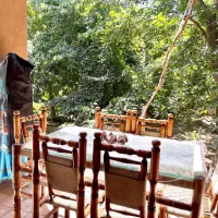 اقامتگاه عمارت افسرالسلطنه واقع در نیر زیبای من|اجارهٔ کوتاهمدت ویلا و باغ|نیر (یزد), |دیوار