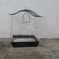 قفس مرغ عشق