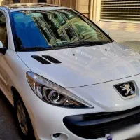 207پانا ارتقاء