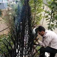 نیازمند جوشکار co2کار تولید حفاظ شاخ گوزنی