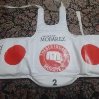 هوگو تکواندو