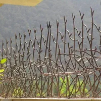 حفاظ شاخ گوزنی و نیزه ای|خدمات پیشه و مهارت|اردبیل, |دیوار