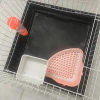 قفسه خرگوش و همستر|موش و خرگوش|تهران, ازگل|دیوار