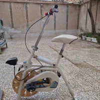 دوچرخه ثابت