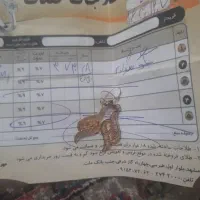 گوشواره به قیمت تابلو