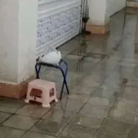 نظافت منزل و راه پله