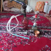 قلیون میوه ای