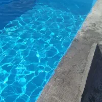 باغ