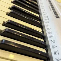 ارگ یاماها YAMAHA PSR-295 سالم، تمیز با پایه|پیانو، کیبورد، آکاردئون|تهران, سازمان برنامه جنوبی|دیوار