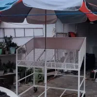 گاری|فروشگاه و مغازه|رشت, پیرکلاچای|دیوار