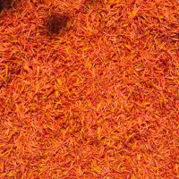 گلرنگ|عمده‌فروشی|شیراز, آزادی|دیوار