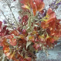 گل وگلدان اکلینی|گل مصنوعی|ورامین, ورامین|دیوار