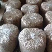 توت خشک اعلا