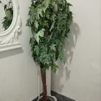 درختچه