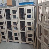 جفتزن کفتر و انواع قفس چوبی|لوازم جانبی حیوانات|مراغه, |دیوار