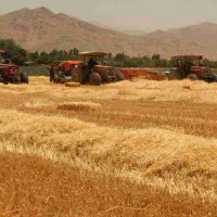 کوولش بسته کوچیک و بسته بزرگ