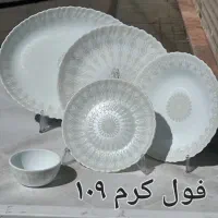سرویس ارکوپال دینو ۲۵ پارچه فقط۲/۸۹۰
