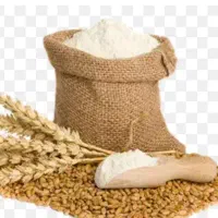 آرد گندم