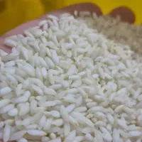 برنج عنبربو اصل خوزستان|خوردنی و آشامیدنی|قم, پردیسان|دیوار