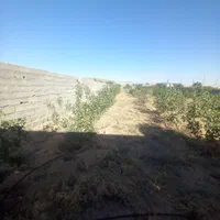 زمین ملکی۵۲۳ متری سرمایه گزاری باغ و ویلا|فروش زمین و ملک کلنگی|مشهد, عبادی|دیوار