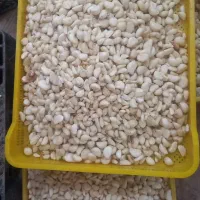 سیر پوست کنده|خوردنی و آشامیدنی|مشهد, شهرک صنعتی توس|دیوار