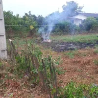 فروش زمین مسکونی در منطقه آزاد  چالکرودرامسر|فروش زمین و ملک کلنگی|دالخانی, |دیوار