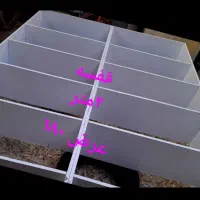 قفسه درحدود سالم