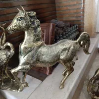 اسب برنج هندی