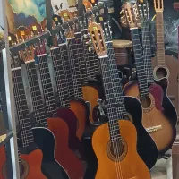 پارت جدید گیتار (گیتار ها ۱ ملیون تومان )|گیتار، بیس، امپلیفایر|شیراز, سیلو|دیوار