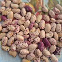 برنج کامفیروزی 235 عنبر بو 190|خوردنی و آشامیدنی|شیراز, شریفآباد|دیوار