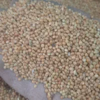 ارزن درشت بوجاری|لوازم جانبی حیوانات|اصفهان, ارداجی|دیوار