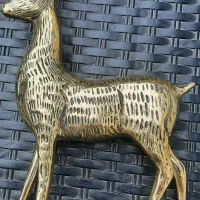 گوزن برنزی