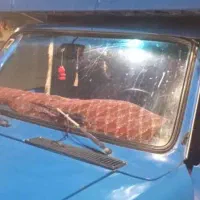 نیسان دوگانه