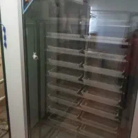 دستگاه جوجه کشی تمام اتوماتیک