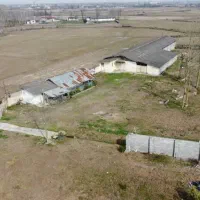 مشارکت د گاوداری گوشتی سرمایه از شما گاوداری از من|استخدام مالی، حسابداری، حقوقی|چهاردانگه (تهران), |دیوار