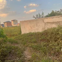 زمین ۶۰متری دخانیات