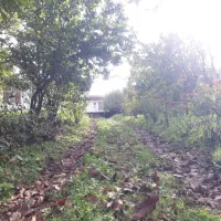 اجاره ویلا جنگلی تک خواب گیسوم|اجارهٔ خانه و ویلا|اسالم, |دیوار