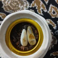 مهرها عقیق سلیمانی دو جفت فعالیت دارن