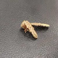 طلا|جواهرات|بروجرد, |دیوار