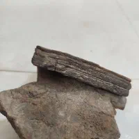 سنگ قدمتی رسوبی وفسیل