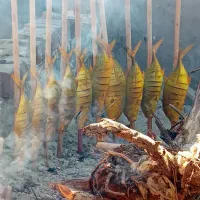 کارگر ساده در رستوران