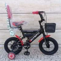 دوچرخه 12 بچه گانه