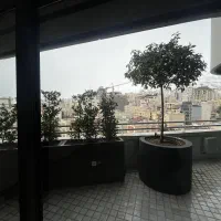 مدرن  پنجره های قدی  ۲ پارکینگ  لابی مجلل