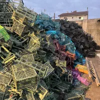 خرید سبد میوه تسویه سر باسکول