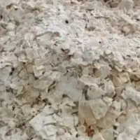 نان خشک دامی بسیار سالم