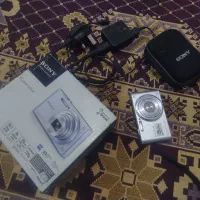 دوربین عکاسی و فیلمبرداری سونی w730